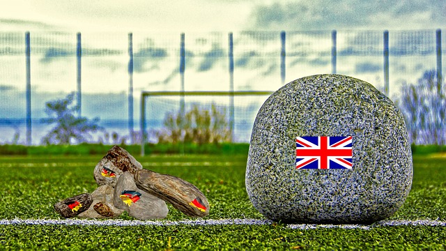 血管系统 血管系统